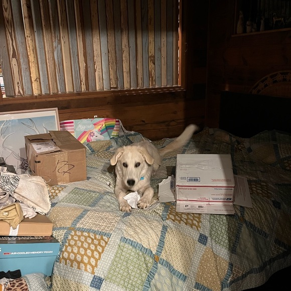 Meet your Posher, Jill - Picture 8 of 8